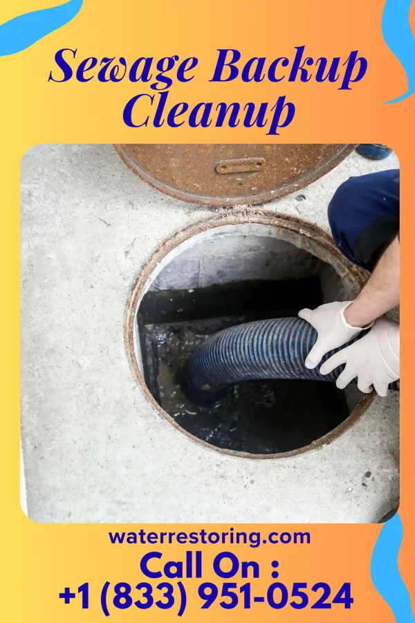 Sewage Backup Cleanup in Marietta, GA