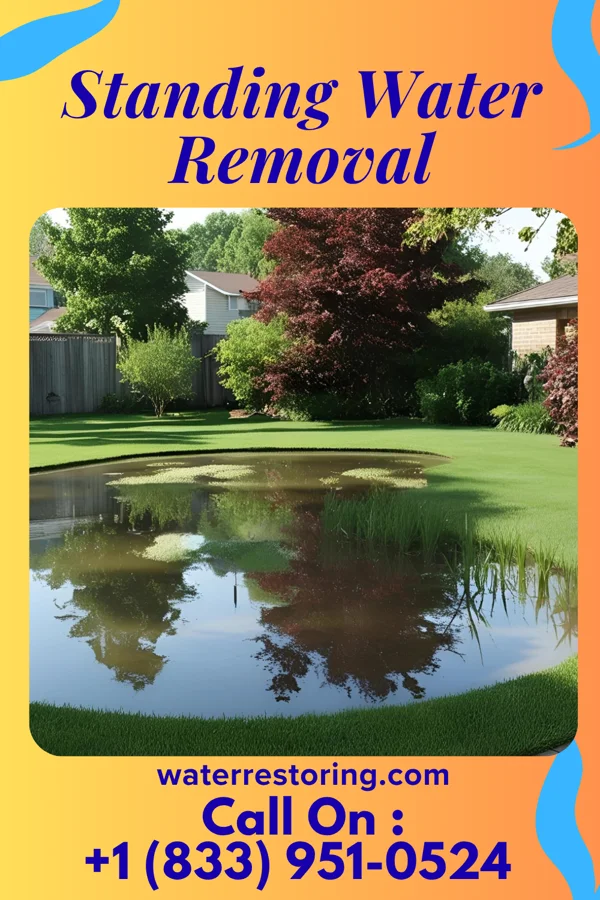 Standing Water Removal in Marietta, GA